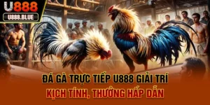 Đá Gà Trực Tiếp U888 – Giải Trí Kịch Tính, Thưởng Hấp Dẫn
